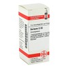 Berberis D 30 Globules 10 g