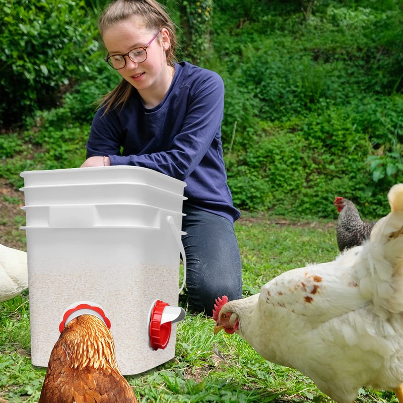 DIY Chicken Feeders Chicken Feeders No Waste Automatic Poultry Feeder