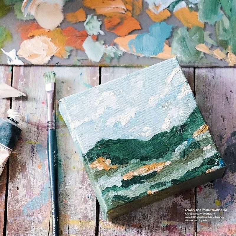 Imperial Professional Bristle Brush Flat Size 2