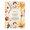 Kintra Foods Dandy Chai Tea, 32 Filter Bags