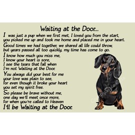 Dachshund Dog Memorial pet loss Fridge Magnet Gift - Waiting at the Door