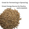 New Country Organics | Organic Oats | Certified Organic and