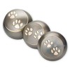 Beautiful Life Urns Pawsitively Cherished Pet Urn - Unique Cremation