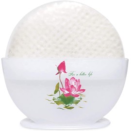 OG ASIA Vietnamese Spring Rolls (Medium)