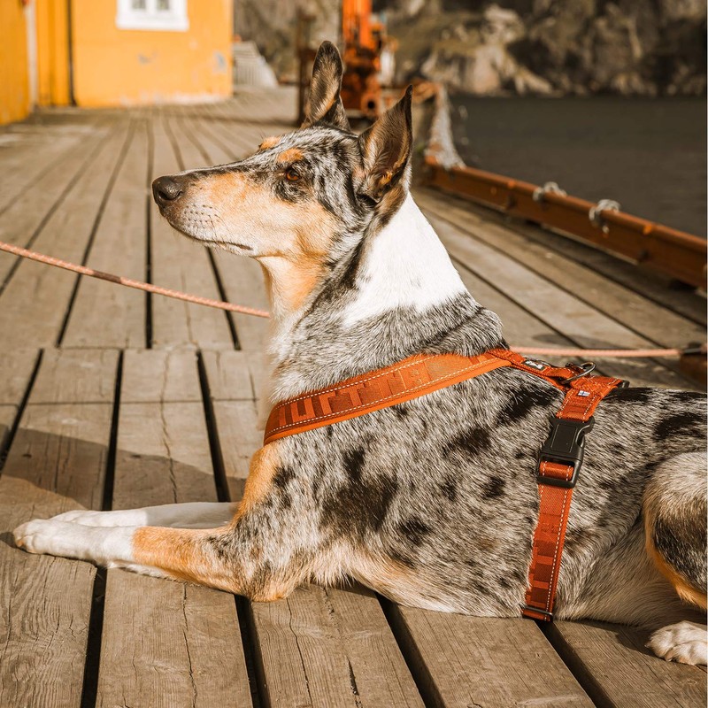 Hurtta 14" Padded Dog Harness Cinnamon