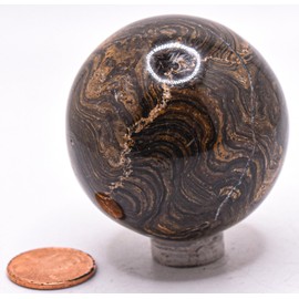 48mm 150g Stromatolite Carved Sphere Polished Natural Algae Fossil Waved Banded Orbicular Pattern Collectible Gemstone Crystal Mineral Ball - Peru + Stand