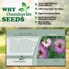 Outsidepride 1000 Seeds Annual Nigella Rose Love-in-a-Mist Flower Seeds for