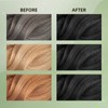 Black Hair Dye Shampoo, Semi-Permanent Hair Color Shampoo for Women