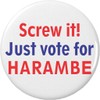 A&T Designs Screw it! Just vote for Harambe 2.25" Keychain
