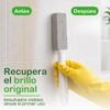 BIOPURE Piedra pómez con agarradera para limpiar el baño. (24cm