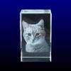 VIP-LASER 2D Glaskristall (Größe: L) mit Deinem Foto/Tierfoto/Katzen oder Hunde-Foto