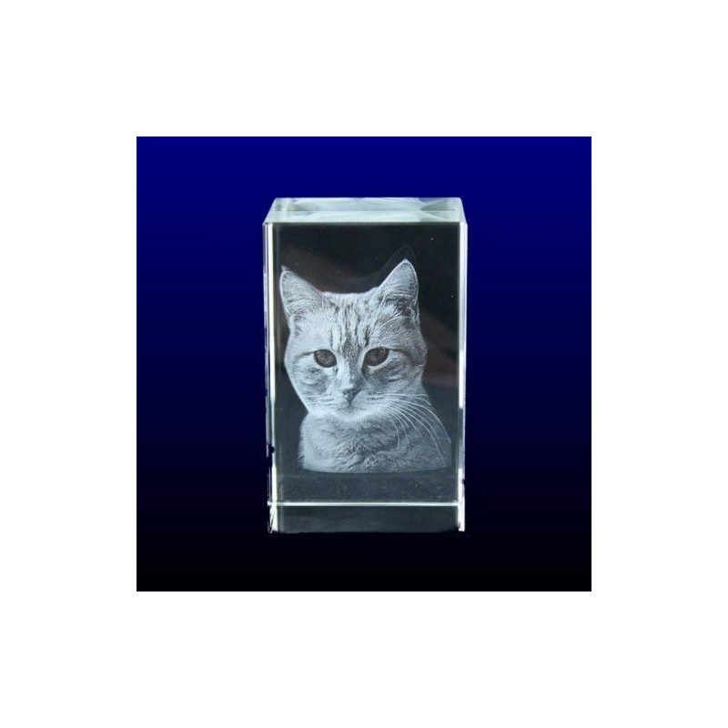VIP-LASER 2D Glaskristall (Größe: L) mit Deinem Foto/Tierfoto/Katzen oder Hunde-Foto