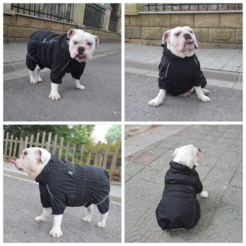 Dogs Waterproof Jacket, Lightweight Waterproof Jacket Reflective Safety Dog Raincoat