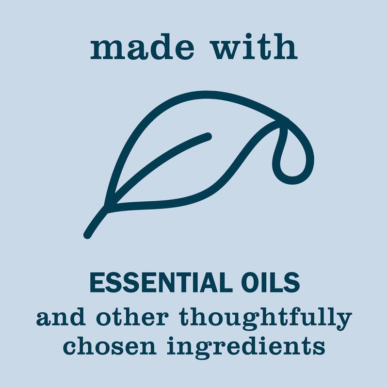 Mrs. MEYER'S Snow Drop Kitchen Set, Dish Soap Hand Soap