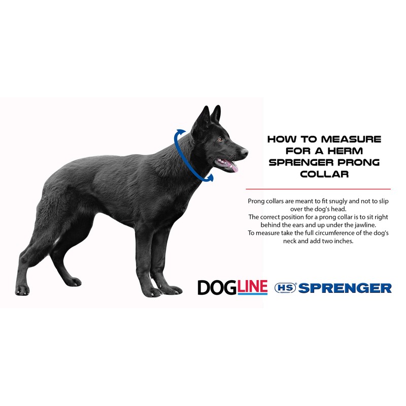 Herm Sprenger Neck Tech Stainless Steel Prong Dog Training Collar