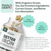 Organics Ocean Better Iron Supplement with Vitamin C - Plant-Based