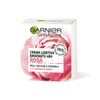 GARNIER Moisturizing Prodigious Dry Skin 50ml Face Masks And Creams