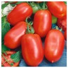Everwilde Farms - 1 Lb Roma Tomato Seeds - Gold
