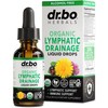 Lymphatic Drainage Supplements Drops - Organic Lymphatic Support Liquid Drops