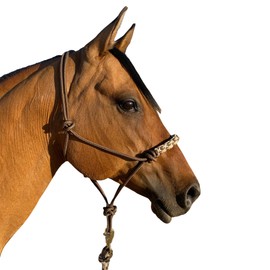 Kensington Clinician Rope Halter - Horse Halter with Tri-Colored Braided Noseband and Snug Fit, Desert Sand
