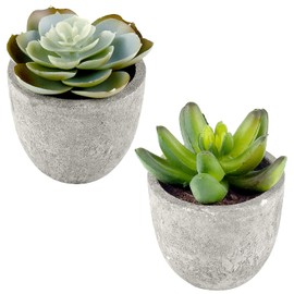 Thyores 2 Pack Artificial Fake Plants Mini Succulents Plants with Plastic Pots, Decorative Plants for Home Decor, Office Desk Plants