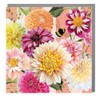 Notecard pack of 6x cards by Lola Design x Dahlia