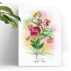 TUMYBee April Birthday Card - Sweet Pea Flowers, 5in x