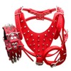 Haoyueer Leather Sharp Spiked Studded Dog Collars, Harnesses & Leashes