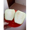 KSGARDEN 5 PCS TAIWAN APPLE LUFFA F1 SUPER SWEET ,