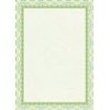 APLI osd4020 Box of 25 Diplomas Spiral 115 g Green