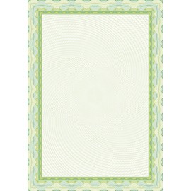 APLI osd4020 Box of 25 Diplomas Spiral 115 g Green