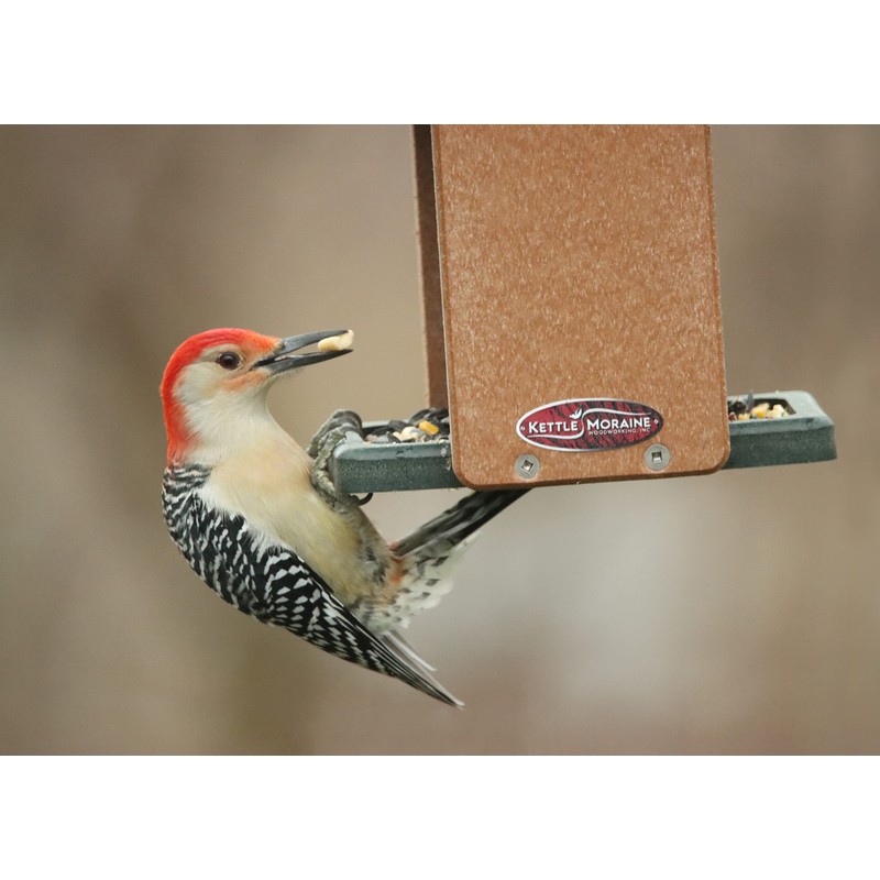 Recycled Screen Hopper Feeder (Large)