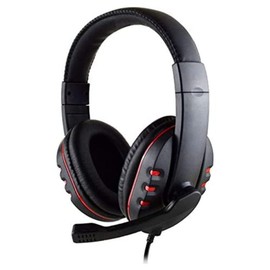 Heden Wired Earphones with Microphone - USB Port - Built-in Remote - Swivel Microphone - Black Headband - Adjustable