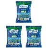 Vidal Sour Wild Raspberries Filled Sour Gummies Candy, 3.5 Ounces