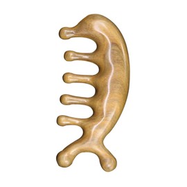 Healeved Practical Massage Comb Scalp Massage Tool for Wet Dry Hair Sandalwood Random Color