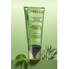 Mielle Organics Exfoliante Clarificante Para El Cuero Cabelludo Con Azúcar