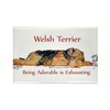 CafePress Exhausted Welsh Terrier Rectangle Magnet, 3"x2" Refrigerator Magnet