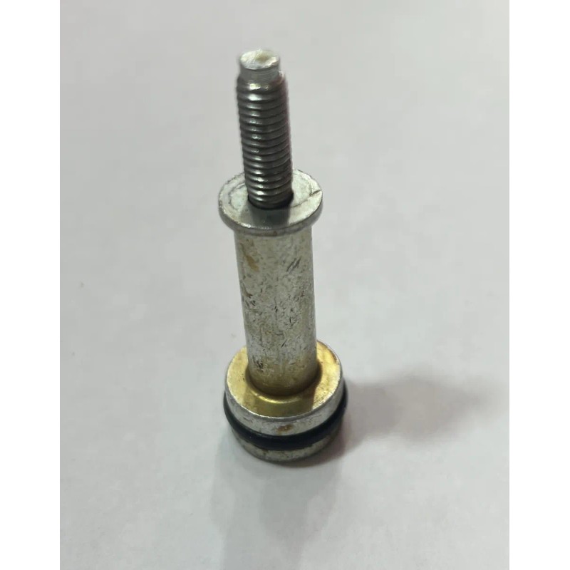Tornillo Sujetador De Guía D/distribucion Ford 4.0 Ninguno (Usado)