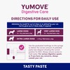 YuMOVE Digestive Care Rapid Probiotic Paste for Large Dogs |