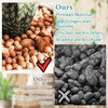 Legigo 15 LB Organic Leca Clay Pebbles for Plants, 4mm-16mm