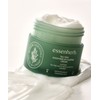 Essence Herb Essenhive Tea Tree Soothing In Calming Cream 80ml