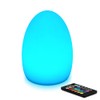 Mr.Go 8-Inch Rechargeable LED Egg Light - Dimmable Baby Night