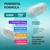 GABA L-Theanine 900 mg - Made in USA - Magnesium