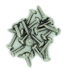 No.4 x 0.975 (2.9mm x 25mm) TX Pan Self-Tapping Screw - Stainless Steel (A2) (Pack of 20)