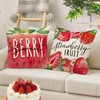 Ussap Spring Summer Strawberry Decorative Throw Pillow Covers 18 x