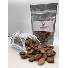 "Cool Beans N Sprouts" Horse Bean Seeds (a.k.a Fava Bean Seeds) Non-GMO, Approx. 20-25 Seeds per Package, Large Meaty Bean That's Great for soups and stews.