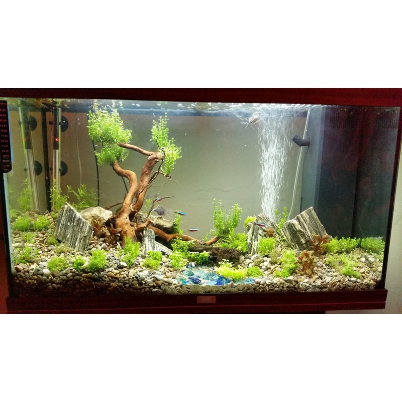Fish Tank Gravel Aquarium Substrate Grey 3-5mm Sample 50g