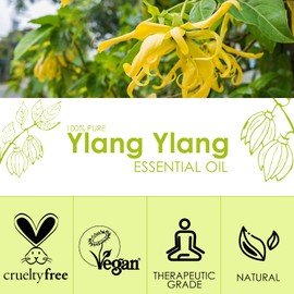 Ylang Ylang Essential Oil 4 Fl Oz (120ml ) - Pure and Natural Fragrance Oil, Ylang Ylang Oil for Aromatherapy, Diffusers, Candle Making, Massage, Soap, Perfume