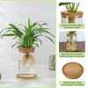 Plant Propagation Station Glass Planter Terrariums with Wooden Lid