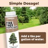 Pine Tree Fertilizer, Complete Liquid Pine Tree Plant Food, 8